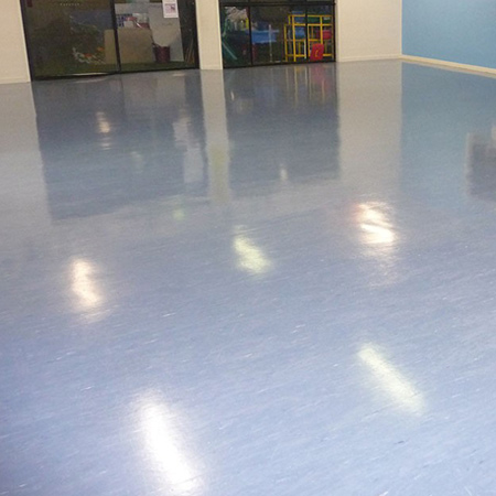 Vinyl Floor Sealing Brisbane, Stripping & Sealing Aspley, Office Cleaning Carseldine, Medical Centre Cleaning Bridgeman Downs, Commercial Cleaning Albany Creek, Cleaning Services Brackenridge